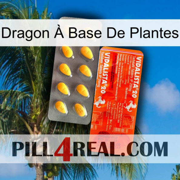 Dragon À Base De Plantes new01.jpg